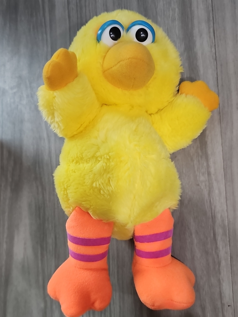 Big Bird - Picture 5 of 5